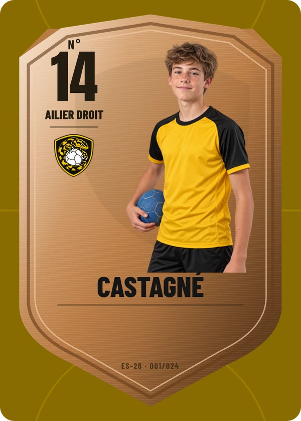 Carte d’exemple fictive, inspiration Écu de métal · Handball