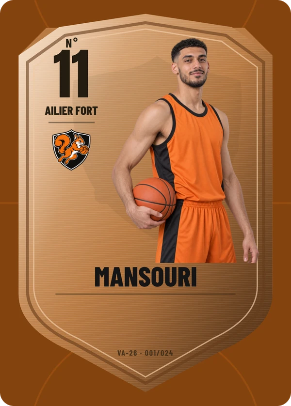 Carte d’exemple fictive, inspiration Écu de métal · Basket