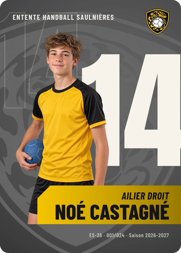 Carte d’exemple fictive, inspiration Effectif · Handball