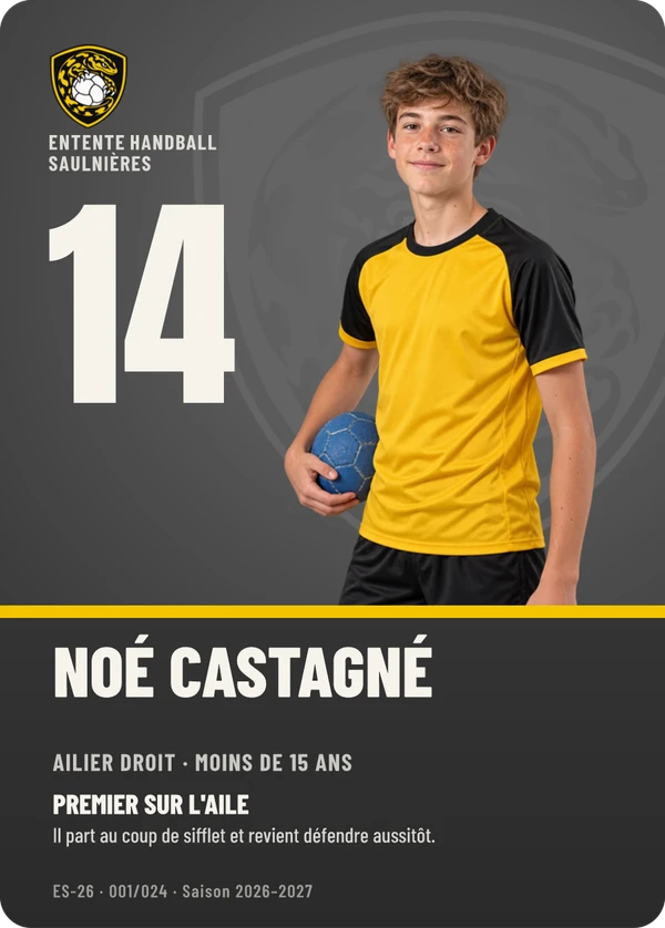 Carte d’exemple fictive, inspiration Profil · Handball