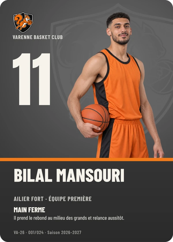 Carte d’exemple fictive, inspiration Profil · Basket