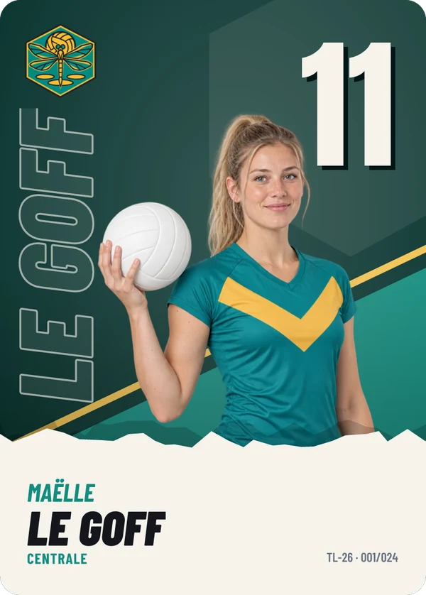 Carte Affiche de Maëlle Le Goff, photo détourée, Volley Club des Trois-Lacs (exemple fictif)