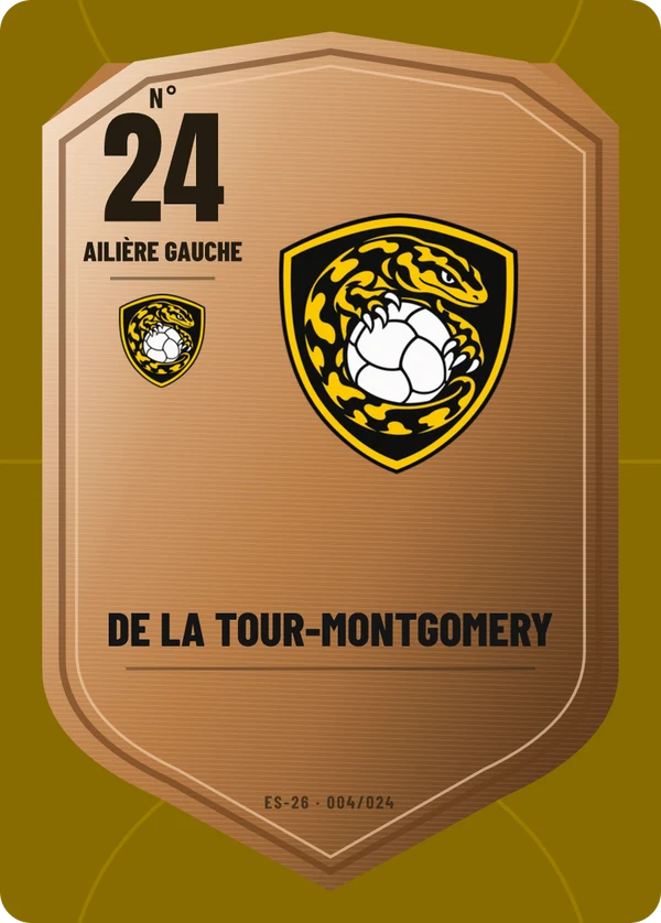 Carte Écu de métal de Marie-Bérénice de La Tour-Montgomery, sans photo, l’emblème à sa place, Entente Handball Saulnières (exemple fictif)